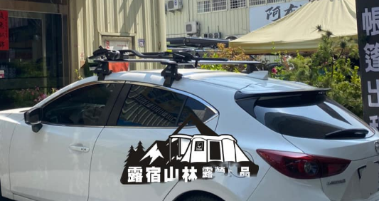 【THULE】ProRide 598 自行車架