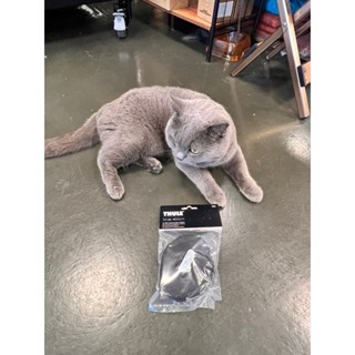 【THULE 都樂】Straps 400cm 高強度綁帶一入裝 露營裝備固定綁帶 貨物綁帶